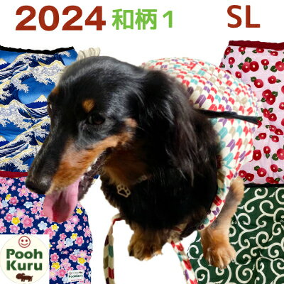 פ    Ȥ  夻䤹 İ   󥰡SL ɴ  ä к α ˼餺 2024 1