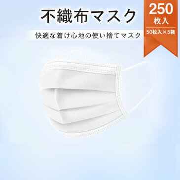 【4/24以降順次発送】 マスク 50枚×5箱 250枚 使い捨て 使い捨てマスク 白 白色 レギュラー 男女兼用 大人 立体 伸縮性 ウィルス飛沫 花粉 防寒 PM2.5 フィルター 箱 ハウスダスト 風邪 対策 耳が痛くならない 在庫あり