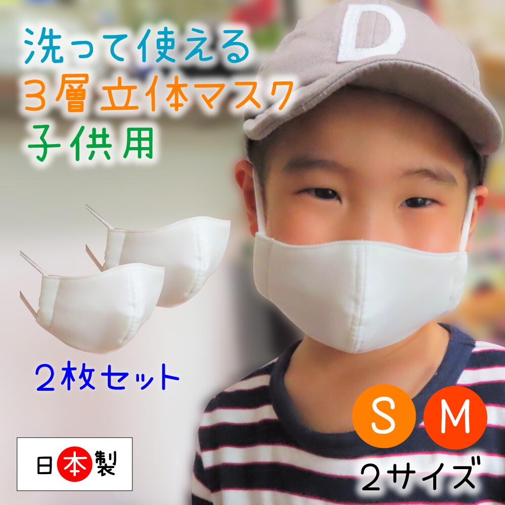 【2枚入り】【送料無料】 子供用 マスク 子供用マスク子供マスク 洗えるマスク 2枚セット 春 夏 秋 冬 白 幼児 低学年 小さめ マスク 小さめ 布マスク 無地 こども 子ども キッズ 洗える 立体 手作り 綿 ガーゼマスク 3層構造 男の子 女の子