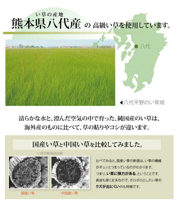 純国産高級い草上敷き『清正』江戸間3畳(約176times;261cm)麻綿織熊本県八代産イ草使用JAS1クラス和風空気浄化両面劣化防止フリーマット耐久性収納お昼寝快適調湿消臭コンパクト畳める持ち運び青森ヒバエッセンス加工抗菌防臭カーペットIK6309133