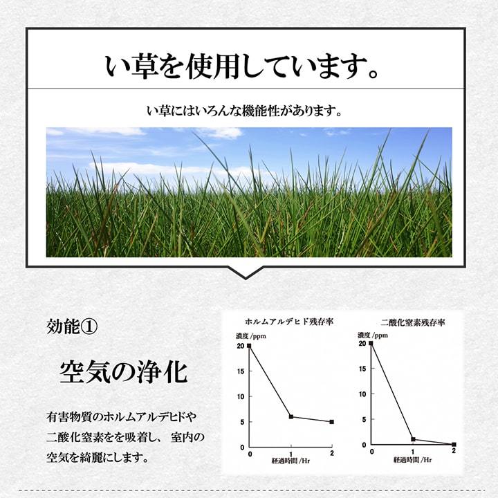 高性能 い草 ごろりん ごろ寝 約48×90cm 洗濯不要 くつろぐ おうち時間 さらさら 消臭 シンプル お昼寝 休息 上質 弾力性 耐久性 消臭 空気清浄 リラックス効果 吸汗 吸湿性 抗菌防臭効果 ヒバエッセンス加工 IK-G3277879 3