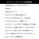 《ラッピング》 オリジナルギフトバッグ Lサイズ（ボトル500mlサイズ2本以上・その他商品用） 紙袋 手提げ 手提げバッグ 新生活 母の日