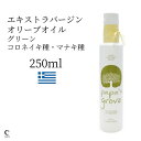 オリーブオイル（売れ筋ランキング） パパスグローブ グリーン 250ml オリーブオイル ギフト エキストラバージン エクストラバージン 容器 ボトル ギリシャ産 手土産 コールドプレス 健康食品 サラダ ソムリエ 新生活 母の日