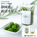 2024年収穫 静岡産 オリーブ漬け 80g オリーブ 新漬け グリーンオリーブ 緑オリーブ オリーブ果実 マティーニ テーブルオリーブ おつまみ 国産 日本 塩漬け ピクルス 漬物 限定 新漬 ご飯のお供 ギフト1000円以下