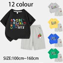 2025 新作 12色 アルファベット ロア alphabet lore T-shirt 春半袖 グッズ 2点セットトップス カットソー Tシャツ 子供へのギフ...