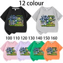 2025 新作 12色 Zoonomaly Plush ズーノマリー 動物園 T-shirt 子供 大人 春 夏 トップス 半袖 子供服 キッズ 誕生日用品 家...