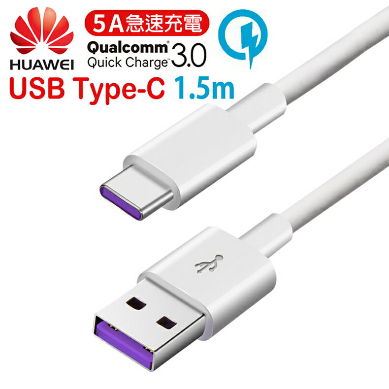 【送料無料】 USB Type-C 超急速充電対