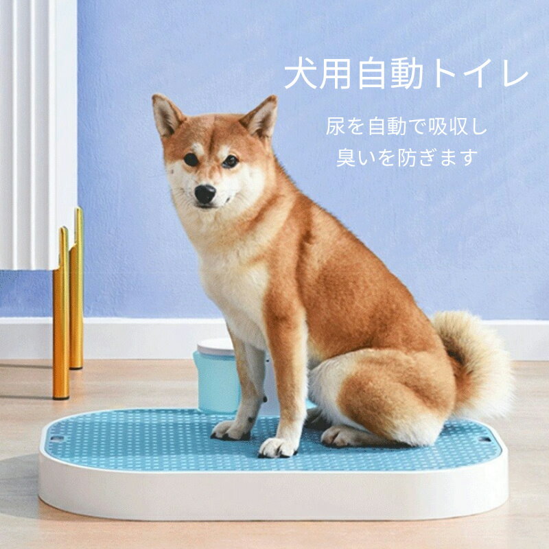 楽天市場】ロール式自動犬トイレ ブリリアントパッドの通販 楽天市場】ロール式自動犬トイレ ブリリアントパッドの通販