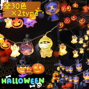 【最大2000円割引!スーパーSALE!】【30color×3長さ】2024年最新! ハロウィンLEDライト小型 可愛い電飾 装飾屋内 室内 デコレーション ハロウィーン飾り 電球色 結婚式 パーティー庭電飾 電池式 乾電池付けません 喫茶店 窓 庭 部屋 玄関 自宅 ガーデン