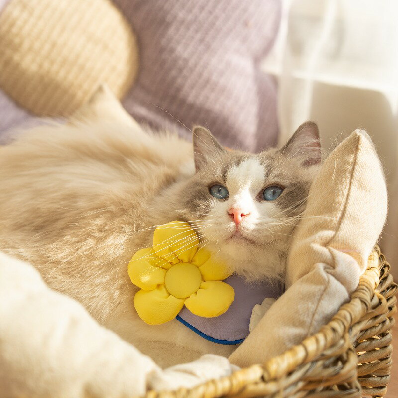 ＼期間限定ポイント10倍／立体小花デザイン！ペット用よだれかけ＆ネックウェア 猫・犬用 可愛いアクセ..