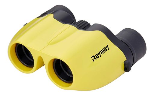 �쥤�ᥤƣ���д������ѥ���8��8x21��������RXB317Y