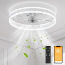APPOLYNシーリングファンライトシーリングファンシーリングライト扇風機LEDシーリングライト照明器具シーリング照明器具空気循環扇風機調光・光色切替風向き切替(羽根の回転方向の切り…