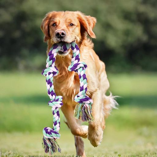 FREEMOS【大型犬専門】天然コットン安全設計破れにくい6結節ロープ(歯磨き/綱引き)