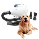 高速プロフェッショナル猫犬ペット用グルーミングヘアードライヤーブロワー(PBD-701H)