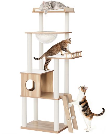 クライミング 【遊び・休憩・眺めを一台で実現】宇宙船カプセル(直径30cm)、展望台、猫ハウスを組み合わせた多機能キャットタワー。運動不足解消、リラックス、お昼寝、外の景色を眺めるなど、猫の欲求をすべて満たします。高さは158cmで、猫ちゃんが窓辺から外を眺めるのにも最適です。本体サイズ:幅54x奥行40x高さ158cm 【短足猫・老猫・ぽっちゃり猫対応】段差を低めに設定し、広めのステップで安定感を確保。フェルト付きのステップは防滑性もあり、足腰に負担をかけず安全に上下運動を楽しめます。さらに底部のラダー は登りやすさをサポートし、同時に爪とぎポストとしても使用できます。短足猫や老猫、体の大きな猫でも安心。 【頑丈な爪とぎポスト付き】極太支柱にホワイト綿ロープをしっかり巻き付け、耐久性抜群。毎日の爪とぎに最適で、猫のストレス解消を助けると同時に、ソファや壁など家具のキズ防止にも役立ちます。 【簡単組立&amp;安心サポート】パッケージには日本語版の取扱説明書、組立工具、手袋が付属。さらに商品ページには組立動画も掲載しており、初めての方でも安心してスムーズに組み立てられます。