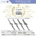 createsstore:10000002のサンプル画像3