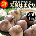 国産 天然はまぐり 大玉(千葉県九十九里産)1kg