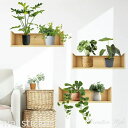 ウォールステッカー 植物 観葉 wallshelf & plants 2 木 グリーン 緑 春 壁飾り インテリア シール diy 壁紙 シール 北欧 オシャレ...