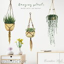 ウォールステッカー 植物 hanging plants 木 グリーン 緑 春 壁飾り インテリア シール diy 壁紙 シール 北欧 オシャレ 誕生日 花 キッ...