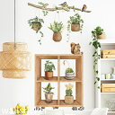 ウォールステッカー おしゃれ 花 木 植物 ウォールシール diy 壁紙 シール 壁デコ グリーン 春 緑 壁飾り ウォールシール インテリア シール 北欧 オ...