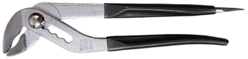 エビ アンギラススケ�