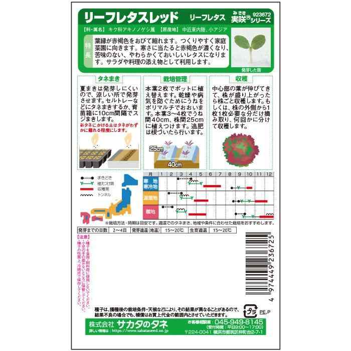 サカタのタネ 実咲野菜 レタス リーフレタスレッド creativeglobal01-10098382 クリエイティブグローバル サンプル画像2