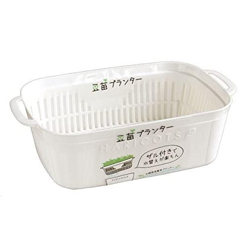 YAMADA 山田化学（株） 豆苗プランター ホワイト 21x12．5x高さ6．4cm