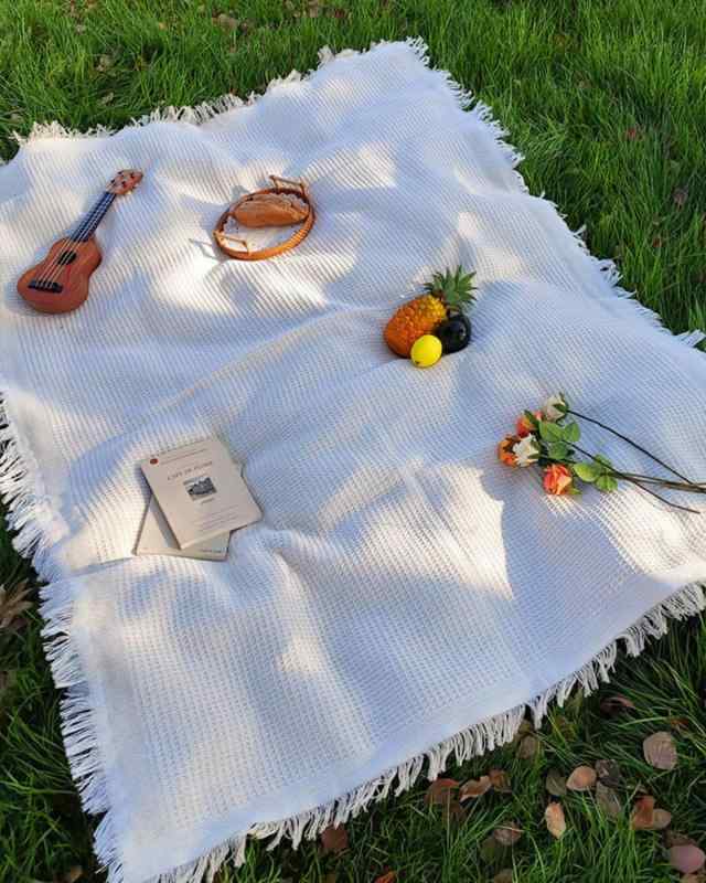 LIFANDY レジャーシート ピクニックシート ピクニックマット 布製 1人～4人用 折りたたみ おしゃれ キャンプ ブランケット picnic mat コンパクト B