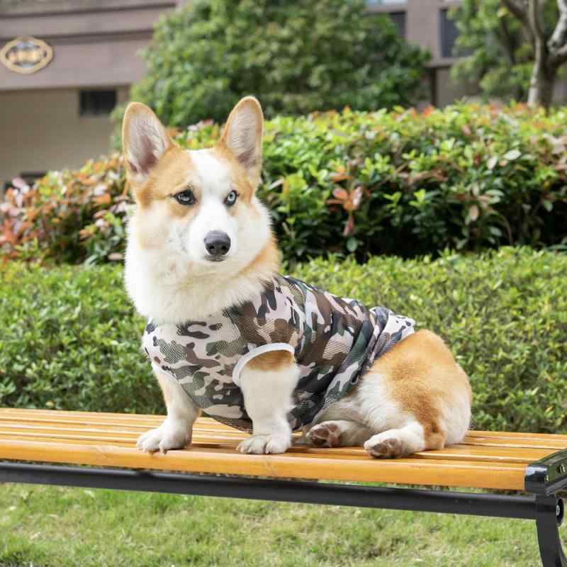 乐天商城 - 犬用 メッシュ ペット ベスト 小型 中型 大型犬 対応 室内着 通気性 防晒 防蚊虫 軽量 吸湿速乾 夏向け アウトドア 普段使い
