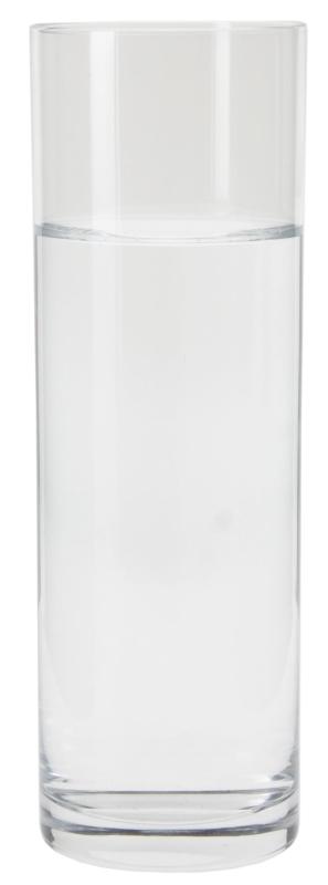 東洋佐々木ガラス ゾンビーグラス トッカータ ゾンビー 420ml 日本製 ガラスコップ グラス コップ ビールグラス ハイボールグラス サワーグラス チューハイグラス 薄い L50-15