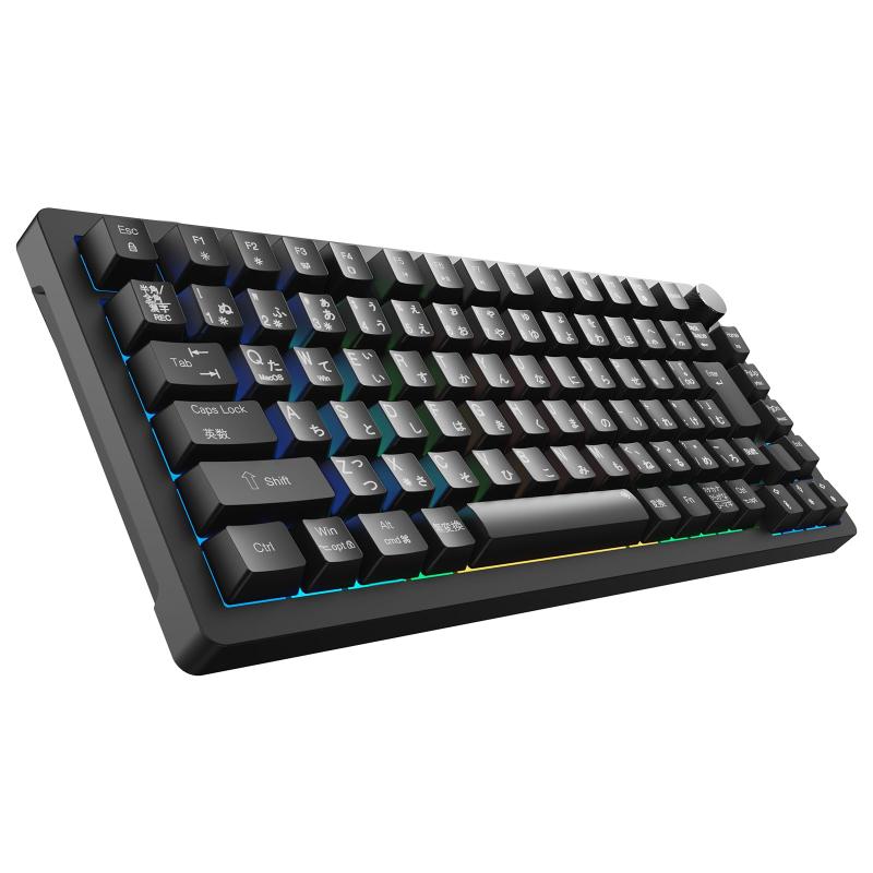 ゲーミングキーボード 2025年業界初 日本語JIS配列＆かな印字一体化 75%コンパクト メカニカルキーボード ガスケットマウント/サテライト軸 押下圧40g PBTキーキャップ カスタマイズ可能 マル