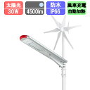 ソーラー外灯 LED 風車付 ソーラーライト ソーラー充電 30W (ポール別売)