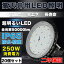 20ĥå LEDŷ 250W LEDŷ[5Mץ饰] 50000LM(2500WUFOLEDϥ٥饤 IP65ɿɿ LED 5000K/6000K