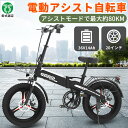 電動アシスト自転車ebike 350w36v 14AH大容量バッテリー 折りたたみ 軽量 折り畳み サイクリング 電動自転車20インチ電動アシスト自転車 電動自転車 ebike eバイク 極太タイヤ電動自転車 カゴ付き おしゃれ おすすめ 人気 通勤通学 お買い物 アシスト自転車1年保証付き