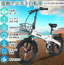 FLYFISH【2024】公道走行可能 免許不要 型式認定取得 電動アシスト自転車 20インチ 7段変速 折り畳み自転車 アシスト自転車 マウンテンバイク 35...