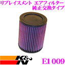 K&N 純正交換フィルター E-1009 シボレー T360 / T360G / T370L / T370V トレイルブレザー用 リプレイスメント ビルトインエ...