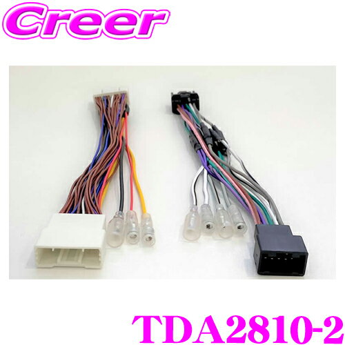 cyberstork-tda2810-2.jpg