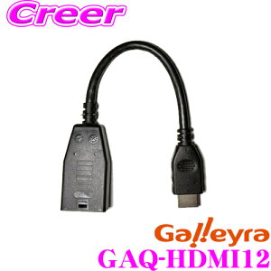 Galleyra 쥤 GAQ-HDMI12 ۥѽHDMIͥѴ֥