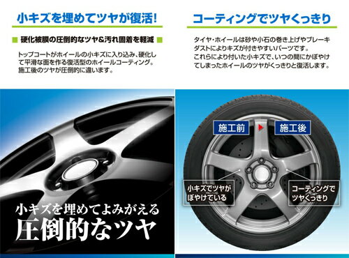 ��18�����꡿����Ǻ���700��OFF�����ݥ󡪥����ᥤ�� C161 �ѡ��ץ�ޥ��å��ץ�ߥ��� �ۥ����륳���ƥ��� �Ų��������Ķ�ѵ�6���