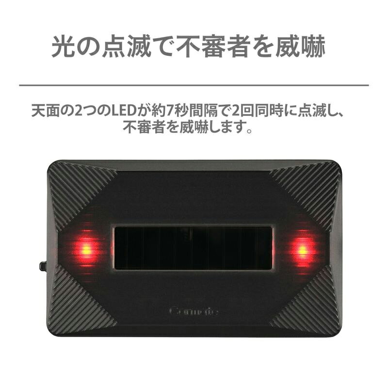 【レビューで確率UP】最大5万pt大抽選会 カーメイト SQ301 ナイトシグナル ツイン ...