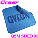 【GW運試し♪確率50%最大10,000P還元 5/1限定】【日本正規品】 GYEON Q2M-SDEB-M SilkDryer EVO BigLogo シルク...