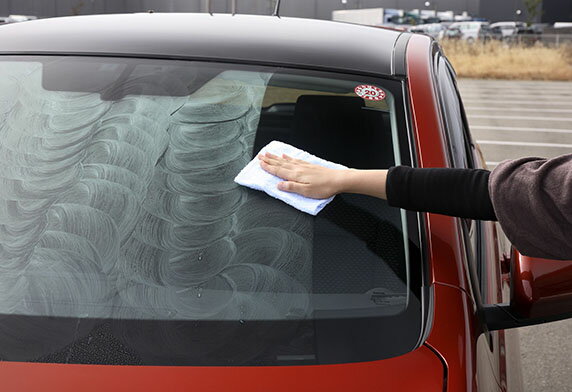 �����ʤ����5000�ݥ���ȡ��ץ���ȥ꡼�����ե�99 04168 ���饳Q ���� ���� ���ꥳ���� �����ƥ��� ���饹 �ޥ����� �� �ܥǥ� �ݸ� �����������Ȥ��ʤ��饳���ƥ���