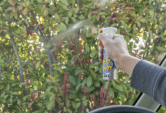 ���ե�99 ��ե��ԥ������� �����ߤ� 05072 �����륿���פΤ����ߤ� ����80ml