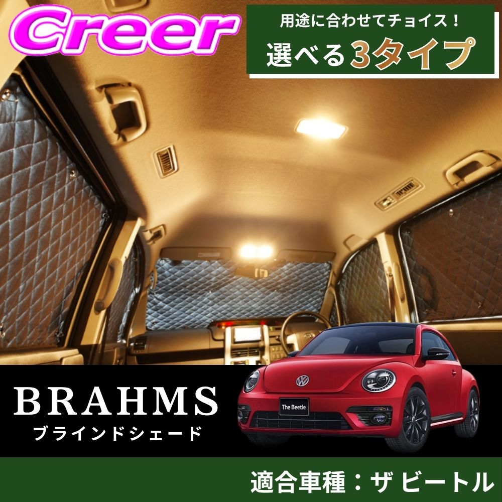 brahms-b10-016.jpg