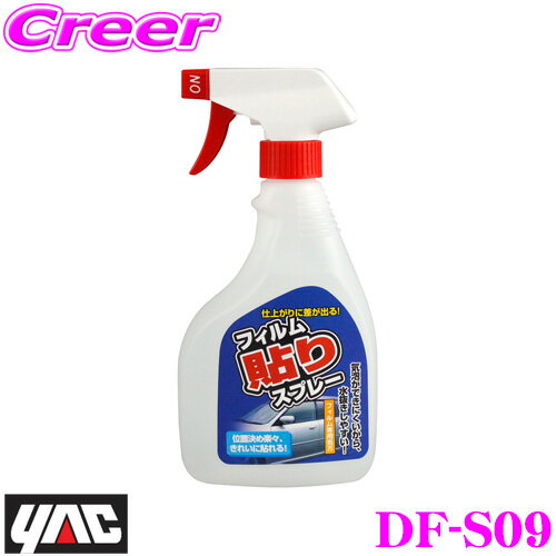 �����ʤ����5000�ݥ���ȡ��ץ���ȥ꡼����å� DF-S09 �ե����Ž��ϥ�ɥ��ץ졼 �ڥե�������ʡ� YAC