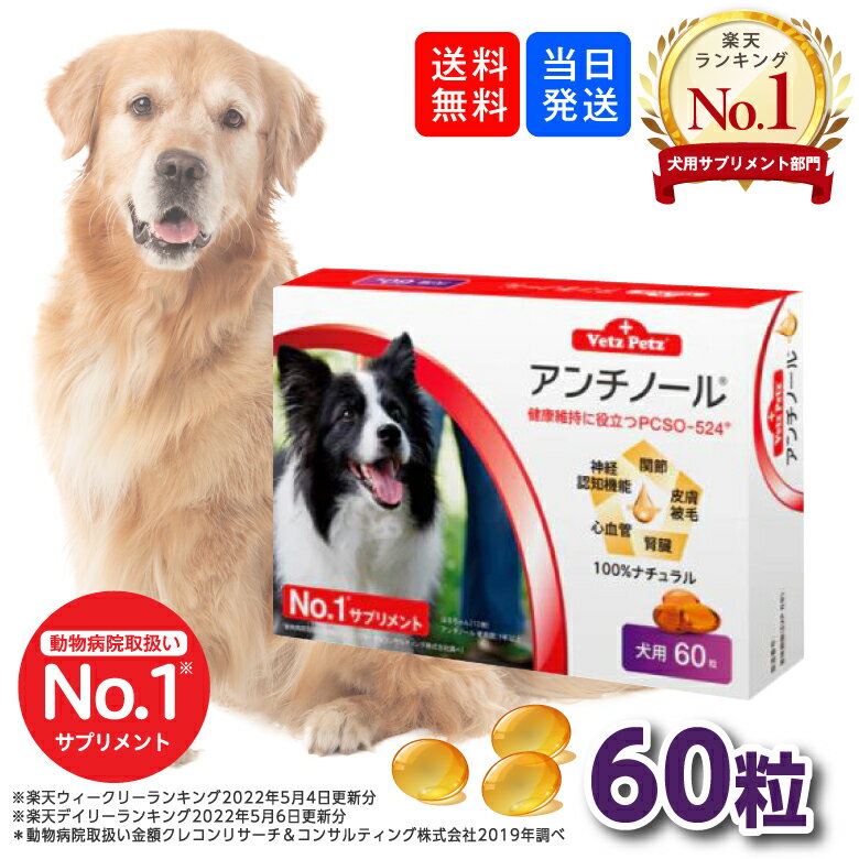 【複数購入 割引クーポン配布中】アンチノール 犬用サプリメント 60粒