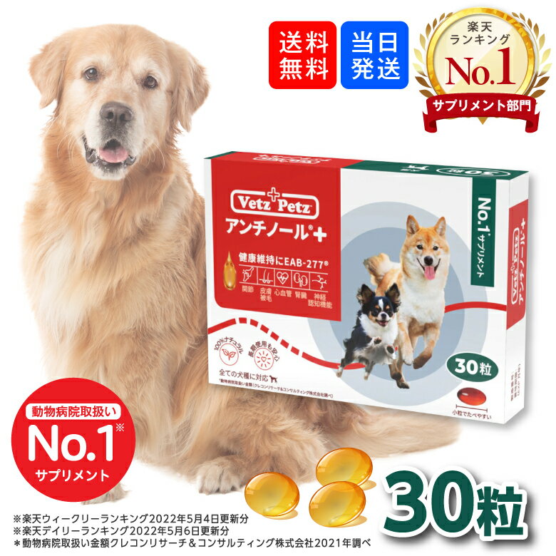 【複数購入 割引クーポン配布中】アンチノール プラス 犬用サプリメント 30粒のサムネイル