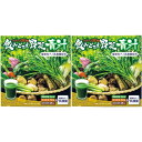 野菜不足の解消をサポートする ●100%国産素材 栄養豊富な丸ごと粉砕製法 1．100％の国産の素材を使用。 30品目の素材はすべて国産を使用。全国津々浦々の素材を当たり、品質、安定的な供給の体制が整っているかを確認し、製品化にふさわしい素材を選定しています。 2．すべての期間限定収穫を採用 おいしくて新鮮な野菜をお届けすることを目標に一番ベストな時期に収穫することで、その時期でしか味わう事が出来ない貴重な素材をお届けしています。 3．素材そのものの栄養をまるごとお届けします 【こだわり1】 普段の料理では捨ててしまう野菜の皮や種、根なども、ただもったいないだけでなく、実は豊富な栄養が含まれていることがあります。こうした素材が持つ栄養を余すことなく、丸ごと使用しています。 【こだわり2】 素材のもつ栄養をできるだけ保持するために、たとえば主原料の大麦若葉などは洗剤を使わずに新鮮な真水で洗浄時間を短縮。なるべく栄養価を逃さずに、新鮮な状態で製品化しています。 ●おいしさへのこだわり！日本古来の食材 毎日口にするものだから、美味しさにこだわりました。 健康な体づくりのために、どんな方にも毎日無理せず飲んでいただきたい。 そんな想いから新鮮な野菜の栄養分を中心に、厳選した素材本来の味わいを活かし、日本人の口に合う味に仕上げました。 黒糖・きな粉・抹茶・米粉など、日本の和素材をプラスすることで青汁独特の青臭さをなくし、 ほんのり甘味のある飲みやすい味に仕上げました。 ●さらに！女性にうれしい配合成分 鉄分・ミネラルを凝縮「熊笹」 アミノ酸やビタミンの宝庫「ローヤルゼリー」 優れたうるおい成分「ヒアルロン酸」 プラス 「植物性ナノ乳酸菌」 すんき漬けから抽出した乳酸菌を配合。 従来の乳酸菌より吸収性に優れており、 体の内側からスッキリと元気をサポートします。 ●お召し上がり方 1袋を冷水やお湯、牛乳などに溶かして、1日1〜2包を目安にお召し上がりください。 まとめ買いがお得 1個 2個 3個 名称 大麦若葉加工食品 内容量 90g（3g×30包）×2個セット 原材料 大麦若葉末、還元麦芽糖、難消化性デキストリン、きな粉、米粉、黒糖、抹茶、澱粉、玄米粉、乳酸菌粉末、ニガウリ末、ゴマ末、ニンジン末、カボチャ末、ゴボウ末、コマツナ末、ホウレンソウ末、キャベツ末、ショウガ末、ダイコン末、サツマイモ末、サトイモ末、ヤマイモ末、ムラサキイモ末、タマネギ末、レンコン末、シイタケ末、トウモロコシ末、熊笹末、ローヤルゼリー、ケール末、セロリ末、アオサ末、ノリ末、ワカメ末、コンブエキス末、サバ節末、ムロアジ節末、カツオ節末、煮干イワシ末、V.C、ヒアルロン酸、V.B6、V.B1、V.B2 保存方法 直射日光及び高温多湿を避け、保管してください。開封後はなるべくお早めにお召し上がりください。 賞味期限 パッケージに記載 広告文責 株式会社クレイディアコムズ 0776-58-7085 メーカー名 銀座ステファニー化粧品株式会社東京都港区新橋 区分 健康食品 製造国 日本