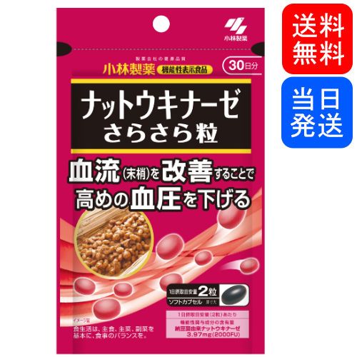 【複数購入 割引クーポン配布中】ナットウキナーゼ さらさら粒 小林製薬 約30日分 60粒のサムネイル