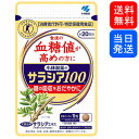 【複数購入 割引クーポン配布中】サラシア100 小林製薬 約20日分 60粒(4)